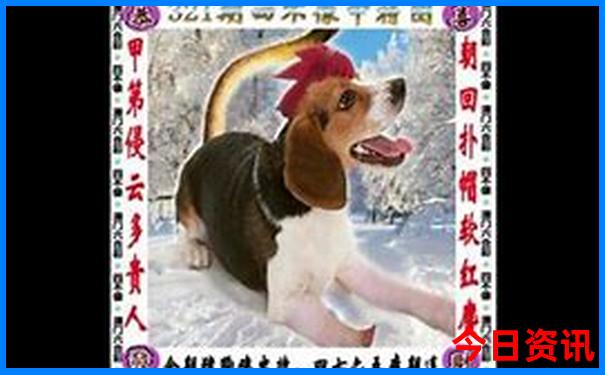 抚顺一日游景点大全
